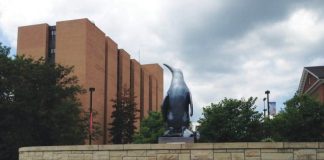 YSU names STEM dean, OKs second student housing complex | The STEM College is the university’s second-largest college with nearly 3,200 students.