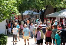 YSU is seeking artist applications for its 23nd annual Summer Festival of the Arts, which is scheduled for July 17 and 18 at its new location at Wean Park/Huntington Community Alley in downtown Youngstown.(Image courtesy of YSU)