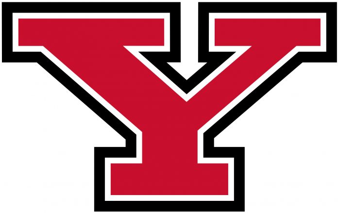 The YSU Foundation is announcing the appointment of four new trustees to its Board of Trustees, with two-year terms that began on May 10, 2021.  The incoming group includes Nancy Beeghly, Martha Bushey, Nikki Carter and Scott Schulick. 