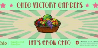 Ohio’s Victory Gardens campaign adds Mahoning County | The program is continuing to expand with a larger seed distribution across the state.