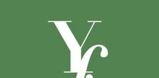 This image depicts the Youngstown Foundation logo