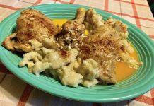 Chicken Paprikash (Paprikas Csirke)