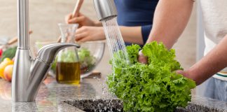 What to know about lettuce, leafy greens and food safety.Health & Fitness | Youngstown