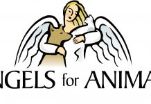 Angels for Animals annual garage sale set for April 22-24