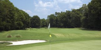 Jewish Community Center to hold Suzi Solomon Golf Classic