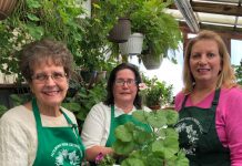 Holborn Herb Growers Guild to host sale May 21 at Canfield Fairgrounds