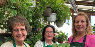 Holborn Herb Growers Guild to host sale May 21 at Canfield Fairgrounds