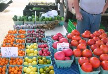 Local farmers markets offer fresh produce, baked goods, activities