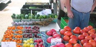 Local farmers markets offer fresh produce, baked goods, activities