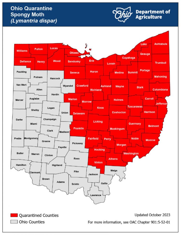 Ohio Department of Agriculture to begin spongy moth sprayings