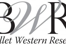 Ballet Western Reserve announces summer camps, classes