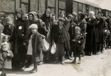 Jewish Federation seeks Holocaust writing, art, multi-media